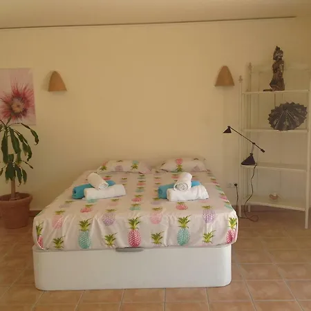 Finca Klara, Boutiquehotel - Apartment -Javea-Moraira--2